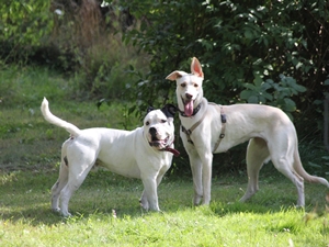 Kata und Helmut